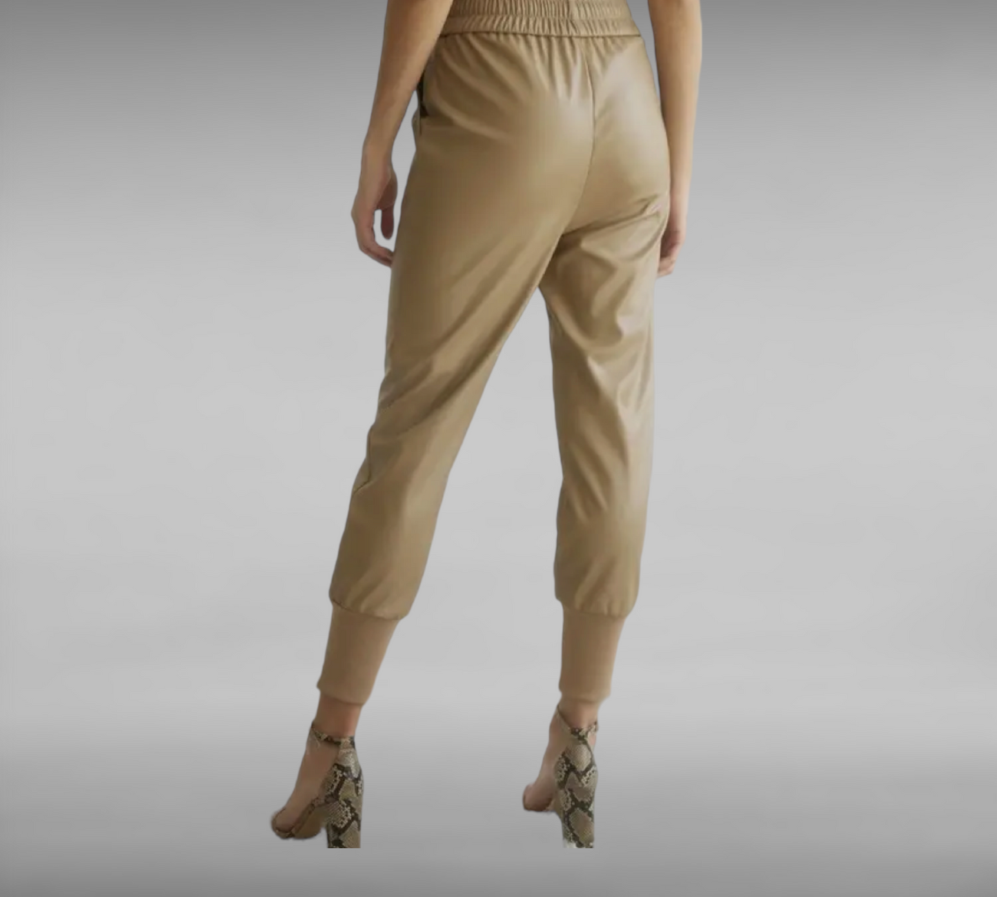 JIM Faux Leather Jogger Pant