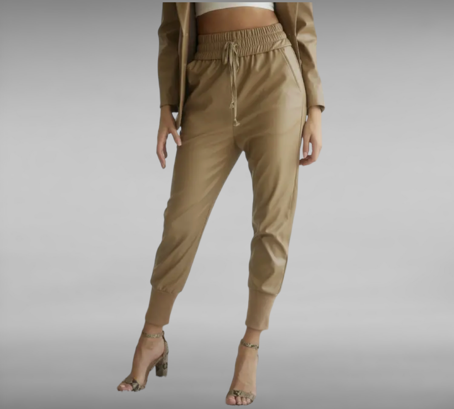 JIM Faux Leather Jogger Pant